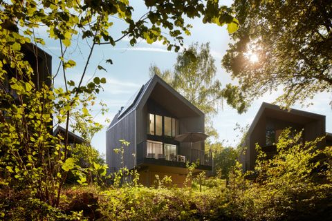 Ein modernes Holzhaus umgeben von Bäumen und Sträuchern. Die Sonne scheint durch das Blattwerk und schafft eine einladende Atmosphäre.