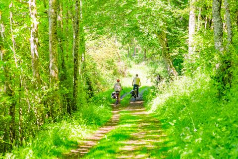 Zwei Personen fahren mit Fahrrädern einen grünen Weg durch einen Wald. Die Umgebung ist hell und sonnig, umgeben von Bäumen und üppigem Gras.