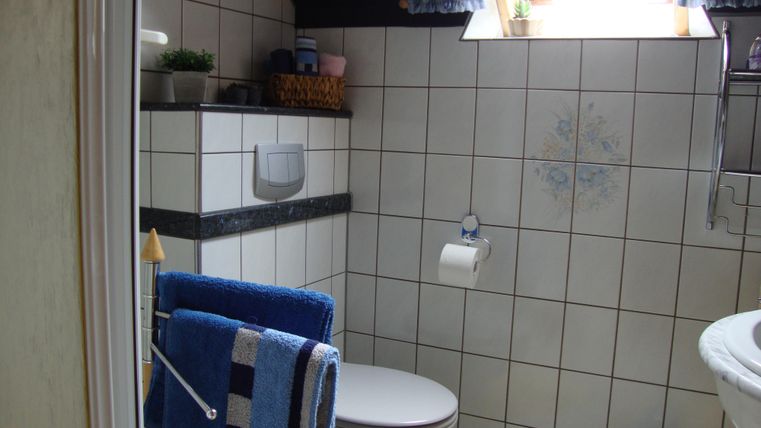 Ein kleines Badezimmer mit weißen Fliesen und einem Fenster, das Tageslicht hereinscheinen lässt. Es gibt einen WC, ein Waschbecken und Handtücher in Blau.