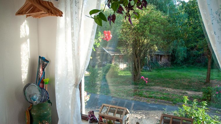 Ein schöner Blick aus einem Fenster auf einen grünen Garten mit Bäumen. Vor dem Fenster hängen Vorhänge und im Innenraum sind einige Dekorationsgegenstände sichtbar.