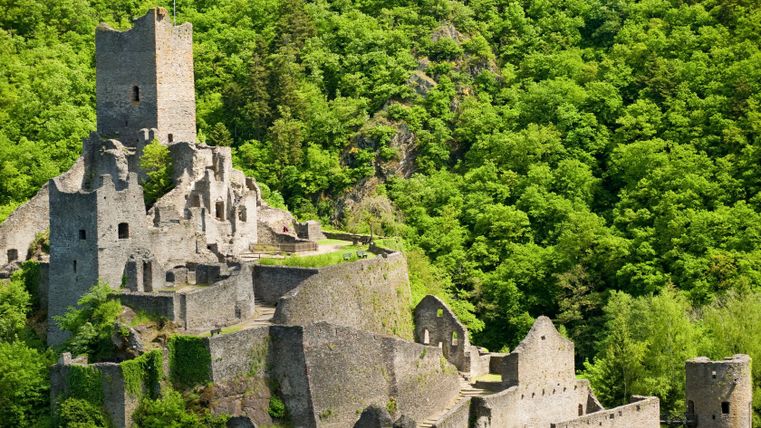 Ruinen der Niederburg Manderscheid umgeben von grünen Bäumen.