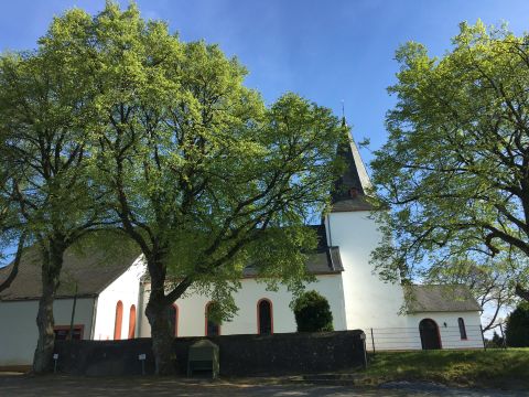 Eine weiße Kirche mit einem spitzen Turm, umgeben von großen, grünen Bäumen. Der Himmel ist blau und sonnig.