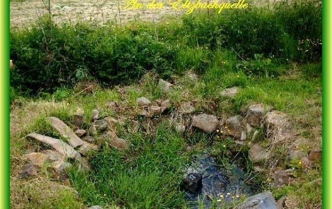 Eine kleine Wasserquelle, umgeben von Steinen und üppigem Gras. Die Umgebung ist grün und natürlich, mit vereinzelten Blumen.