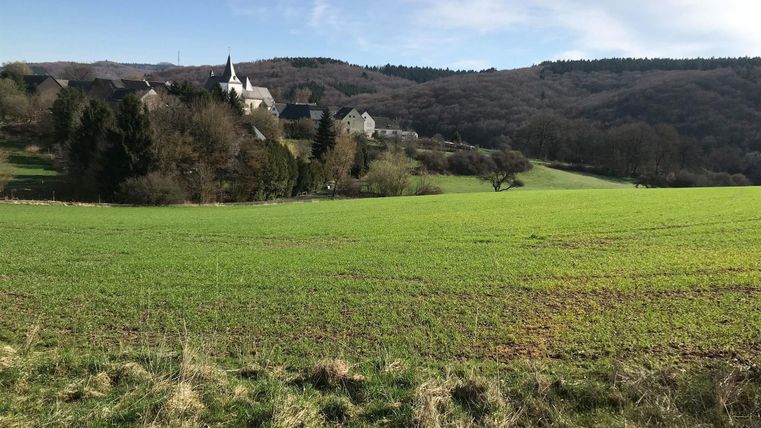 Eine grüne Wiese mit sanften Hügeln im Hintergrund. Im Dorf sind einige Häuser und eine Kirche sichtbar.