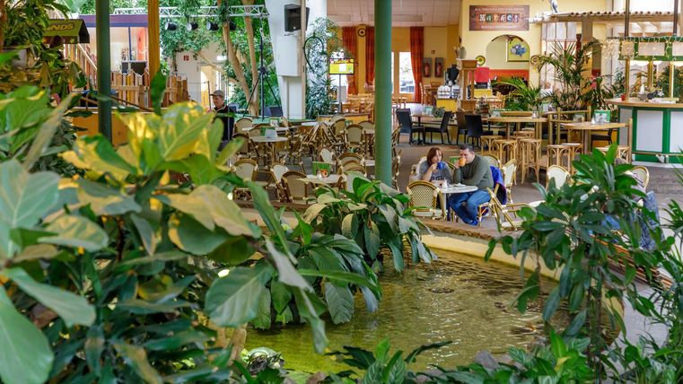 Ein gemütliches Café mit vielen Pflanzen und einem kleinen Teich. Gäste sitzen an Tischen und genießen die entspannte Atmosphäre.