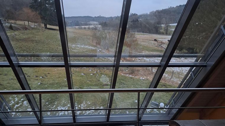 Ein moderner Raum mit einer großen Glasfront. Der Blick zeigt eine ruhige Landschaft mit Bäumen und einem grauen Himmel.