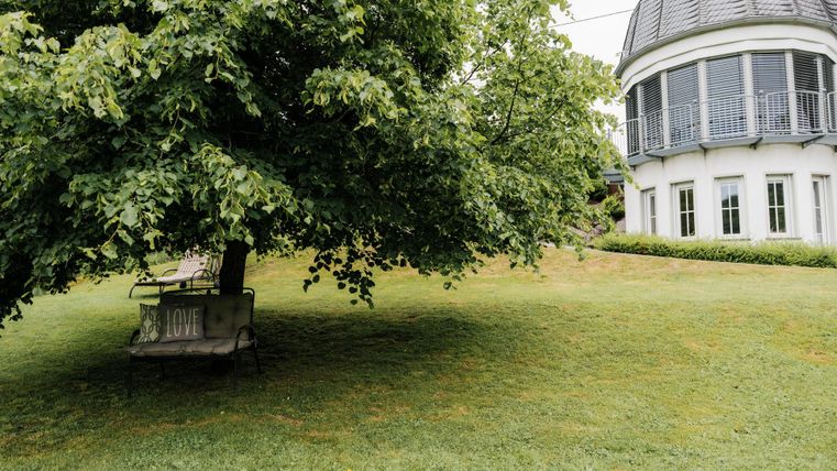 Ein ruhiger Garten mit einem großen Baum und einer Bank im Schatten. Im Hintergrund ist ein weißes Gebäude mit großen Fenstern zu sehen.