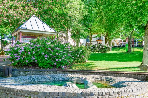 Ein schöner Park mit viel grünem Gras und Bäumen. Im Vordergrund ist ein runder Brunnen zu sehen, umgeben von blühenden Pflanzen.