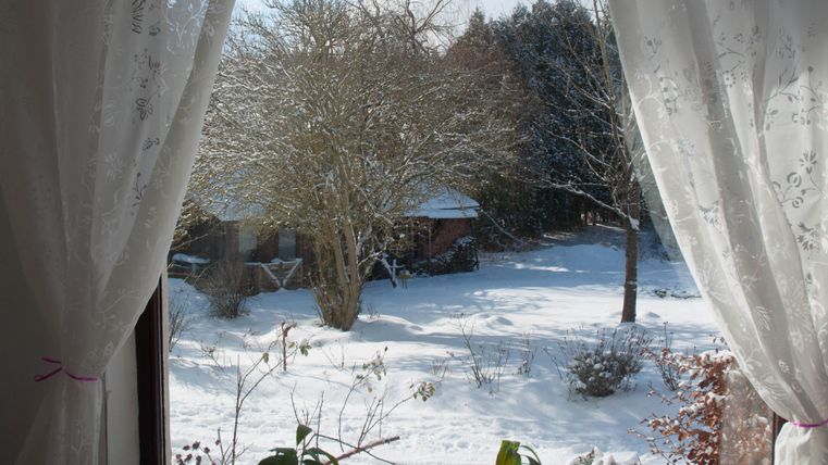 Eine verschneite Landschaft mit einem Baum und einem kleinen Häuschen im Hintergrund. Der Himmel ist klar und die Vorhänge sind leicht durchscheinend.