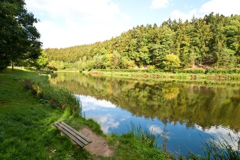 Ein ruhiger Fluss umgeben von grünen Bäumen und Wiese. Das Wasser spiegelt die Landschaft wider.