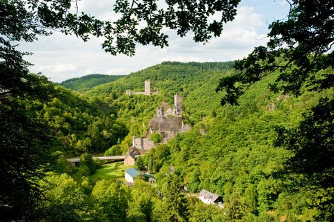 Blick auf die Manderscheider Burgen inmitten grüner Wälder.