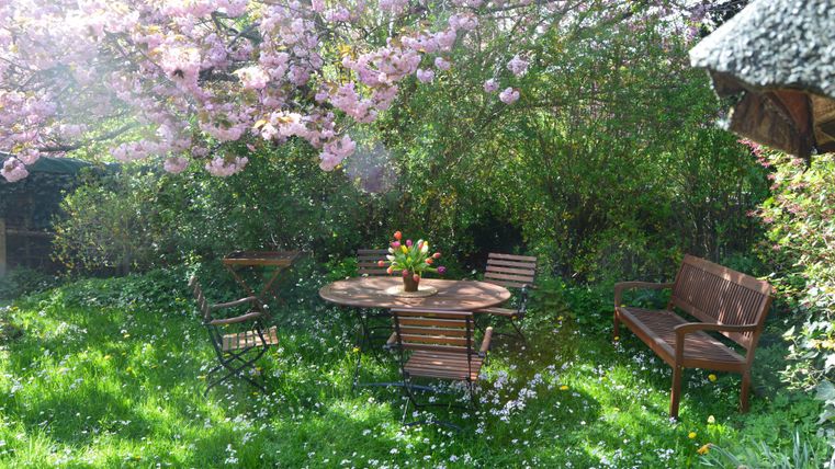 Ein gemütlicher Garten mit einem runden Holztisch und Stühlen. Über dem Tisch blühen Kirschbaumzweige und der Rasen ist mit kleinen Blumen bedeckt.