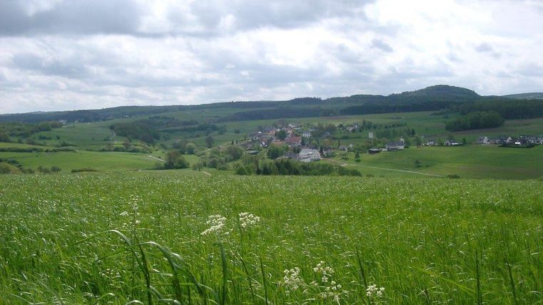 Eine weite Wiese mit hohen Gräsern und einigen Blumen. Im Hintergrund liegt ein kleines Dorf umgeben von sanften Hügeln und bewölktem Himmel.