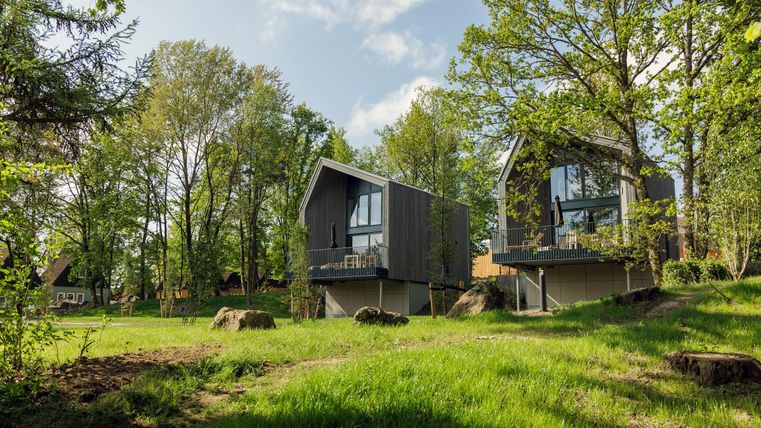 Zwei moderne Ferienhäuser in einer grünen Waldlandschaft. Die Gebäude haben große Fenster und sind von Bäumen umgeben.