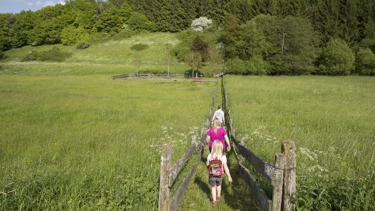 Drei Kinder gehen einen Weg durch eine grüne Wiese. Im Hintergrund sind Bäume und ein Hügel zu sehen.