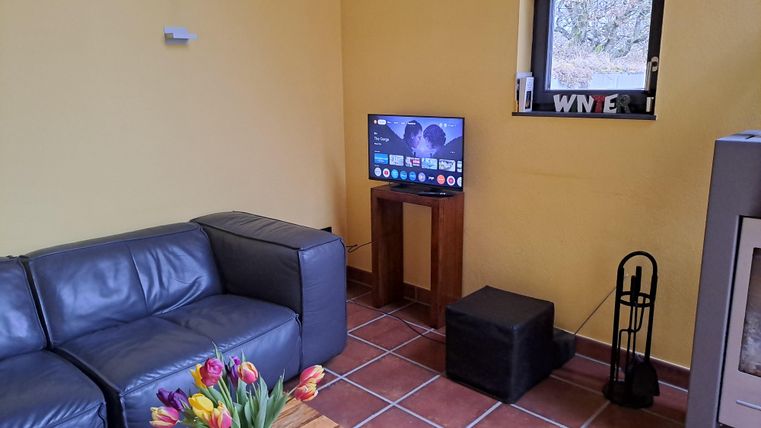Ein gemütliches Wohnzimmer mit einem grauen Sofa und einem Fernseher auf einem Holzständer. Auf dem Tisch stehen frische Tulpen in einer Vase.