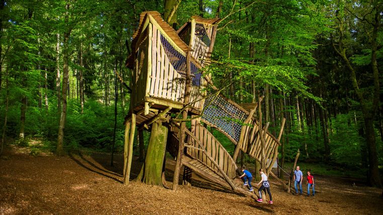 Ein Spielplatz im Wald mit einem einzigartigen Holzspielgerät. Kinder spielen und erkunden die Umgebung zwischen hohen Bäumen.