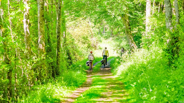 Zwei Personen fahren mit Fahrrädern einen grünen Weg durch einen Wald. Die Umgebung ist hell und sonnig, umgeben von Bäumen und üppigem Gras.