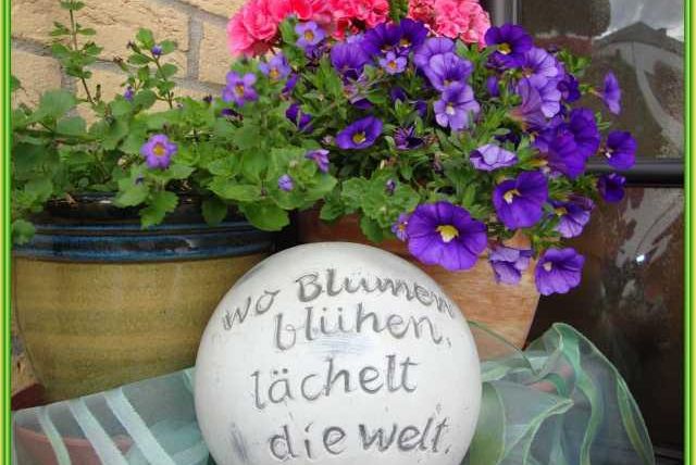 Ein schöner Blumentopf mit violetten und rosa Blumen. Ein dekorativer Stein mit der Aufschrift „Wo Blumen blühen, lächelt die Welt.“