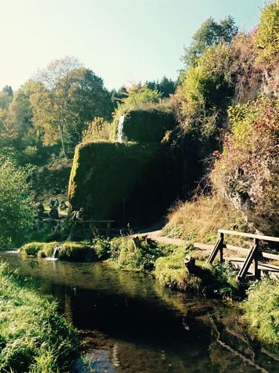 Ein malerischer Wasserfall fließt über moosbedeckte Felsen in einen ruhigen Fluss. Im Hintergrund sind grüne Bäume und ein Holzsteg zu sehen.