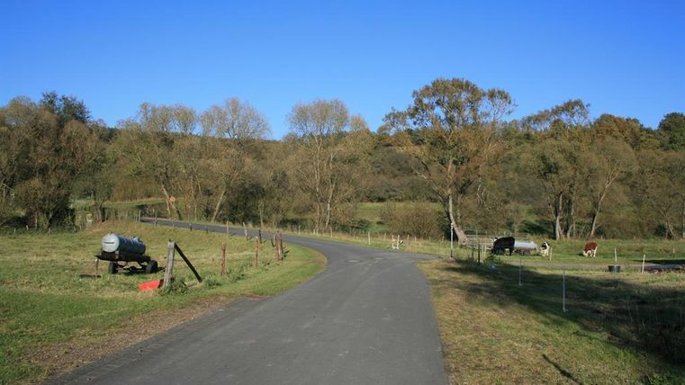 Eine ruhige Straße führt durch eine grüne Landschaft mit vereinzelten Bäumen. Auf den Wiesen sind einige Tiere zu sehen.