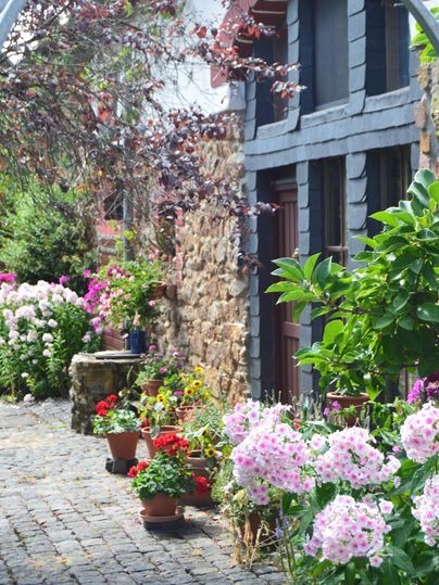Ein schöner Gartenweg mit bunten Blumen und Pflanzen. Im Hintergrund ist ein steinernes Haus zu sehen.