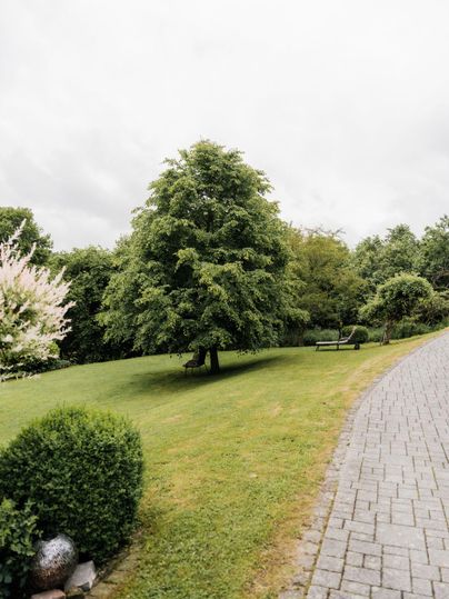 Ein ruhiger Garten mit einem großen Baum und gepflegtem Rasen. Im Hintergrund ist ein Weg aus Steinen zu sehen.