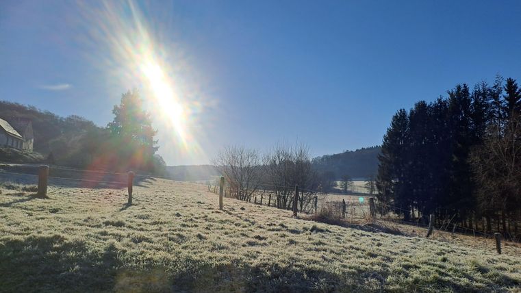 Eine frostige Landschaft mit Bäumen und einem klaren blauen Himmel. Die Sonne strahlt über die weite Wiese.